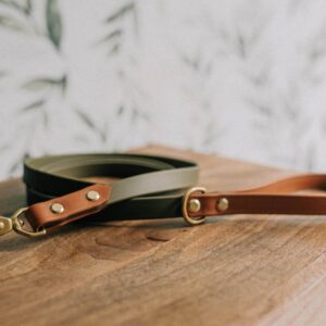 Waterproof Dog Leash | Two-Tone | Biothane | Handmade | Brass Better than leather