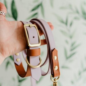 Light Dog Leash | Two-Tone | Biothane | Handmade | Waterproof Brass