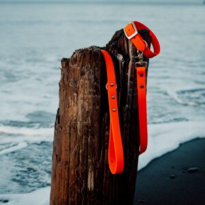 Waterproof Biothane Dog Collar + 5ft Leash Package Deal