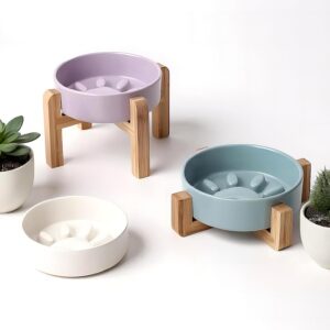 Ceramic Pet Food Bowl with Wooden Stand — Elevated Dish for Cats & Small Dogs