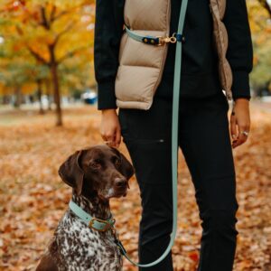 Hands Free Waterproof Biothane Dog Leash