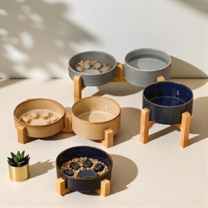 Kiln-Glazed Ceramic Double Pet Bowl | Tilted, Slow Feeder