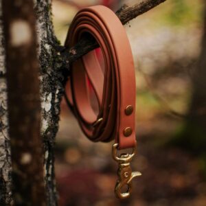 Waterproof Biothane Classic Dog Leash