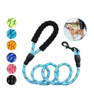 Rope Dog Leash with Padded Handle, Heavy Duty Reflective Leash for Cats and Dogs, Comfortable No-Pull Pet Walking Lead, Colorful leash Set.