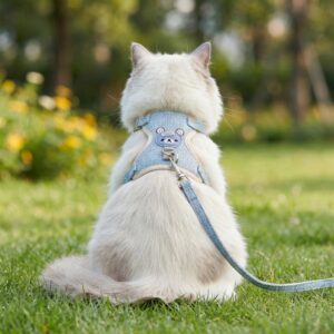 Cute cat vests - pet harness leash