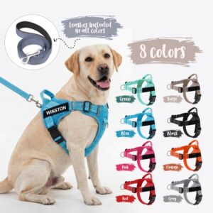 Personalized Dog Harness and Leash Set, Custom Pet Harness, Tactical Outdoor Harness, Dog Leash Set,Adjustable Harness Leash,Puppy Leash Set