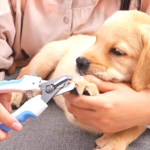 Dog Nail Clipper Set with Nail File | Pet Nail Trimmer for Cats & Dogs | Professional Grooming Tool | Safety Guard Puppy Clipper | Stainless
