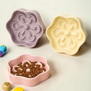 Ceramic Slow Feeder Pet Bowl – Anti-Gulping Cat Dog Food Dish