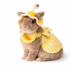 Small Pet Clothing Set - Crochet Flower Hat - Bibs and dress for Rabbits