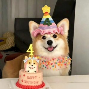 Personalized Crochet Birthday Party Hat for Kids Pet Dog Cat Custom Number Rainbow Crown
