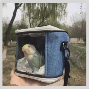 Transparent Pet Carrier Backpack: Breathable Travel Bag for Birds & Small Animals
