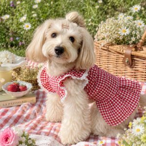 Red Gingham Dog Dress - Picnic Pet Dress with Lace Collar