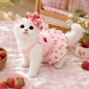 Strawberry Cat Dress - Pink Tulle Pet Dress