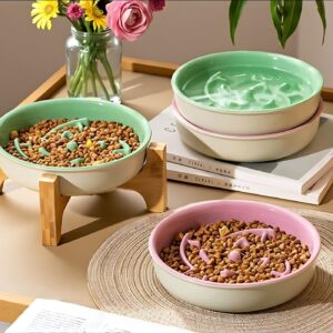 Elevated Ceramic Slow Feeder Dog Bowl with Metal Stand | Large Raised Pet Feeding Bowl | Anti-Choking Thick Stoneware Pet Dish