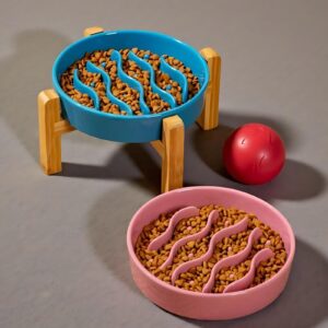 Ceramic Slow Feeder Pet Bowl with Wooden Stand | Elevated Cat & Dog Food Bowl | Raised Feeding Dish for Food and Water