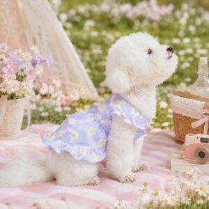 Lavender Daisy Pet Dress - Cute Dog Dress