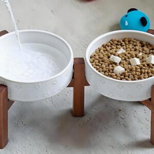 Ceramic Slow Feeder Pet Bowl – Puzzle Design, Whisker Safe