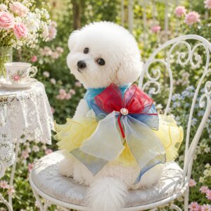 Princess Dog Dress - Rainbow Tulle Pet Dress