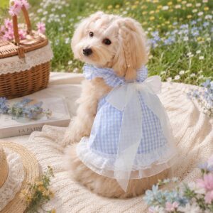 Blue Gingham Dog Dress - Bow Pet Dress