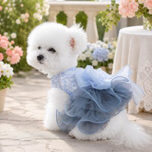Blue Tutu Dog Dress - Sequin Pet Dress with Bow