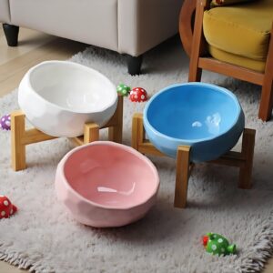 Elevated Tilted Pet Bowl – Ergonomic Ceramic Feeder for Cats, Small Dogs